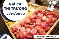 Giá cả thị trường hôm nay 2/11/2022: Siêu thị bán các loại trái cây nội địa, nhập khẩu với giá tốt
