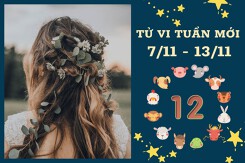 Tử vi tuần mới của 12 con giáp từ 7/11 đến 13/11: Hợi tài lộc chú ý, Mão tình yêu Hung Cát đan xen
