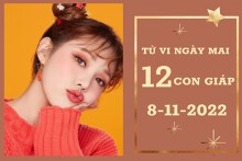 Tử vi ngày mai của 12 con giáp 8/11/2022: Sửu tài lộc dần khởi sắc, Mùi công việc khó khăn