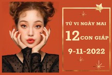 Tử vi ngày mai của 12 con giáp 9/11/2022: Dần tài lộc tăng tiến, Ngọ tình cảm tẻ nhạt