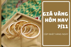 Giá vàng hôm nay 7/11: Điều chỉnh trái chiều, mức tăng cao nhất 300.000 đồng/lượng phiên đầu tuần