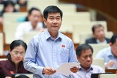 ĐBQH: Thực thi pháp luật về đất đai không nghiêm sẽ dẫn đến vi phạm ngày càng tăng