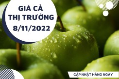 Giá cả thị trường hôm nay 8/11/2022: Giá rau củ và trái cây các loại phải chăng tại siêu thị