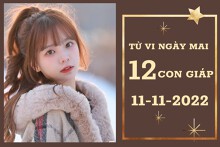 Tử vi ngày mai của 12 con giáp 11/11/2022: Mùi tài lộc ‘tụt dốc’, Hợi tình yêu vượng sắc