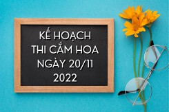 Tham khảo kế hoạch thi cắm hoa ngày 20/11 chi tiết, mới nhất 2022