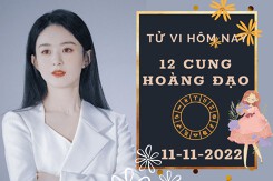 Tử vi hôm nay của 12 cung hoàng đạo ngày 11/11/2022: Bảo Bình tài lộc sáng rõ, Song Tử công việc gặp khó