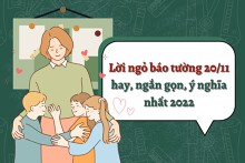 Mách bạn những lời ngỏ báo tường 20/11 hay, ngắn gọn, ý nghĩa nhất 2022