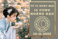 Tử vi ngày mai của 12 cung hoàng đạo 14/11/2022: Kim Ngưu tài lộc kém sắc, Cự Giải công việc trì trệ