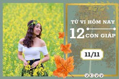 Tử vi hàng ngày hôm nay của 12 con giáp 11/11/2022: Thân tài lộc đi xuống, Hợi tình cảm tiến triển