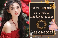 Tử vi hôm nay của 12 cung hoàng đạo ngày 13/11/2022: Sư Tử công việc may mắn, Thiên Bình tài lộc không đáng lo