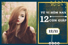 Tử vi hàng ngày hôm nay của 12 con giáp 12/11/2022: Sửu tài lộc cải thiện, Tỵ tình cảm nở rộ