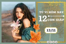 Tử vi hàng ngày hôm nay của 12 con giáp 13/11/2022: Mão tài lộc tiến triển, Mùi tình duyên bình hòa