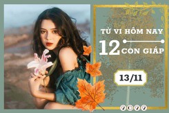 Tử vi hàng ngày hôm nay của 12 con giáp 13/11/2022: Mão tài lộc tiến triển, Mùi tình duyên bình hòa
