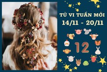 Tử vi tuần mới của 12 con giáp từ 14/11 đến 20/11: Sửu tài lộc vượng tiến, Thân công việc tiến triển tốt