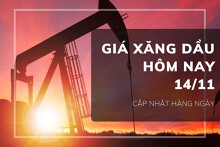 Giá xăng dầu hôm nay 14/11: Tiếp đà đi xuống với biên độ dưới 0,5%