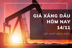 Giá xăng dầu hôm nay 14/11: Tiếp đà đi xuống với biên độ dưới 0,5%