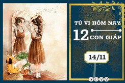 Tử vi hàng ngày hôm nay của 12 con giáp 14/11/2022: Dần tài lộc lung lay, Ngọ tình cảm thuận lợi