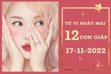 Tử vi ngày mai của 12 con giáp 17/11/2022: Mùi tài lộc tiến, Thìn tình cảm trắc trở