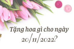 Tặng hoa gì cho ngày 20/11/2022? Cách làm hoa giấy tặng thầy cô ý nghĩa