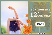 Tử vi hàng ngày hôm nay của 12 con giáp 15/11/2022: Tý tài lộc tiêu hao, Thìn tình cảm an yên