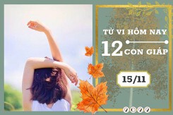 Tử vi hàng ngày hôm nay của 12 con giáp 15/11/2022: Tý tài lộc tiêu hao, Thìn tình cảm an yên