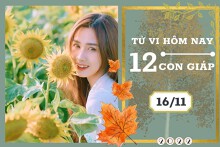 Tử vi hàng ngày hôm nay của 12 con giáp 16/11/2022: Mão tài lộc khởi sắc, Ngọ tình cảm trắc trở