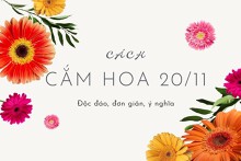 Cách cắm hoa 20/11 đơn giản mà độc đáo và ý nghĩa tặng thầy cô 2022
