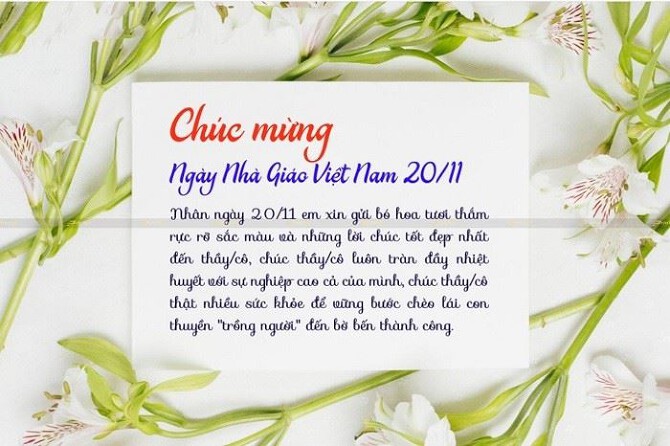 Những câu nói hay về ngày 20/11