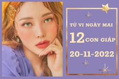 Tử vi ngày mai của 12 con giáp 20/11/2022: Dần tài lộc gặp họa hao tài, Tuất công việc khởi sắc