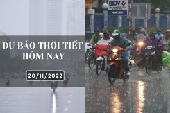 Dự báo thời tiết hôm nay 20/11/2022: Hà Nội sáng sớm sương mù nhẹ, Đà Nẵng, TP HCM tiếp tục mưa vừa, mưa to