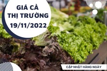 Giá cả thị trường hôm nay 19/11/2022: Giá các loại rau xanh duy trì ở mức ổn định trong ngày cuối tuần