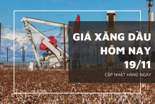 Giá xăng dầu hôm nay 19/11: Duy trì đà giảm trên 1% vào sáng cuối tuần