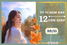 Tử vi hàng ngày hôm nay của 12 con giáp 20/11/2022: Dần tài lộc tiến triển, Ngọ tình duyên bất ổn