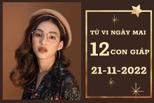 Tử vi ngày mai của 12 con giáp 21/11/2022: Tý tài lộc cải thiện, Thân tình cảm kém vượng