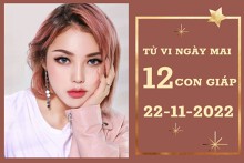 Tử vi ngày mai của 12 con giáp 22/11/2022: Tỵ vận tài lộc tăng, Hợi sự nghiệp ‘tụt dốc’