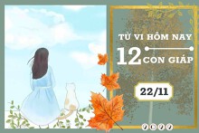 Tử vi hàng ngày hôm nay của 12 con giáp 22/11/2022: Tỵ tài lộc may mắn, Thìn tình duyên muộn phiền