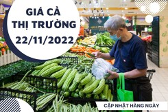Giá cả thị trường hôm nay 22/11/2022: Rau xanh có giá tốt tại các siêu thị