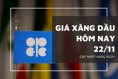 Giá xăng dầu hôm nay 22/11: Bật tăng trở lại trong phiên sáng nay