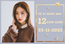 Tử vi ngày mai của 12 con giáp 25/11/2022: Thân tài lộc vượng, Mão tình cảm ảm đạm