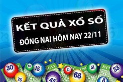 (KQXSDN) Kết quả xổ số Đồng Nai hôm nay thứ Tư 23/11/2022: Giải đặc biệt 466591