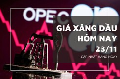 Giá xăng dầu hôm nay 23/11: Giảm nhẹ trở lại sau một ngày tăng