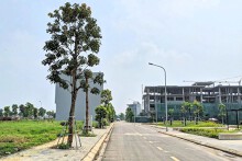Đất đấu giá Đông Anh tăng vọt giữa lúc thị trường trầm lắng