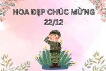 Top những mẫu hoa chúc mừng 22/12 đẹp và ý nghĩa 2022