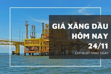 Giá xăng dầu hôm nay 24/11: ‘Rơi tự do’ xuống mức 66.400 JPY/thùng