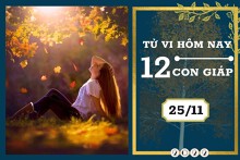 Tử vi hàng ngày hôm nay của 12 con giáp 25/11/2022: Tý tài lộc tiêu hao, Thìn tình duyên êm ấm