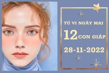 Tử vi ngày mai của 12 con giáp 28/11/2022: Dậu tài lộc tăng tiến, Thìn công việc trì trệ