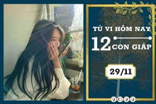 Tử vi hàng ngày hôm nay của 12 con giáp 29/11/2022: Thìn tài lộc đi xuống, Dậu tình duyên lận đận
