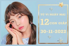 Tử vi ngày mai của 12 con giáp 30/11/2022: Sửu tài lộc không tệ, Thìn sự nghiệp hanh thông
