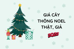 Giá cây thông Noel đủ kích cỡ cập nhật mới nhất năm 2022