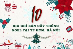 Gợi ý 10 địa chỉ bán cây thông Noel tại TP HCM, Hà Nội mới nhất 2022